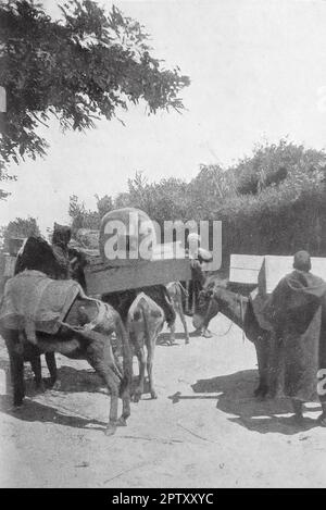 La vie au Maroc, Afrique, c1905. Une Caravane mauresque. Des ânes en charge formant une caravane. Les Maures étaient un terme souvent utilisé par les Européens pour désigner les musulmans d'Afrique du Nord. De nos jours, le terme est utilisé pour désigner les groupes ethniques parlant l'ancien arabe Hassaniya. Banque D'Images