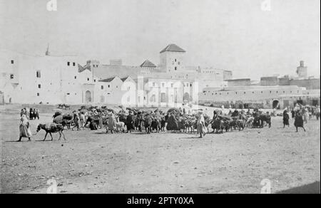 La vie au Maroc, Afrique, c1905. Le marché, Tetuan. Tetuan est également connu sous le nom de Tétouan et Tettawen. C'est une ville dans le nord du Maroc et un port maritime majeur sur la Méditerranée. D'après la photographie de Cavilla, Tanger – Anthony Cavilla, photographe britannique, né à Gibraltar, qui avait un studio à Tanger de 1880 à 1909. Banque D'Images