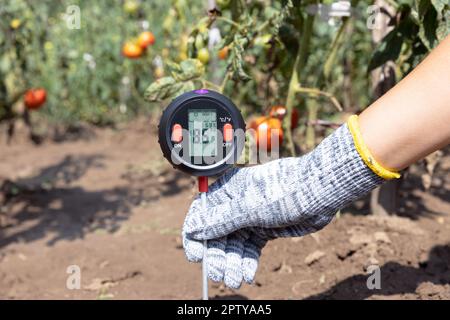 Mesure du pH du sol, de l'éclairage de l'environnement et de la qualité de l'humidité dans un potager Banque D'Images