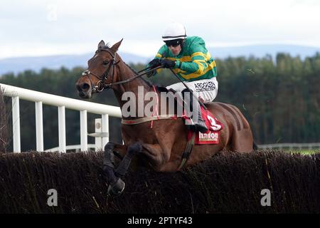 Imperméable et envahi par le jockey Brian Hayes sur le chemin de gagner le béton irlandais Hanlon EBF Glencarraig Lady Francis Flood Mares Chase le quatrième jour du Punchestown Festival à Punchestown Racecourse dans le comté de Kildare, en Irlande. Date de la photo: Vendredi 28 avril 2023. Banque D'Images