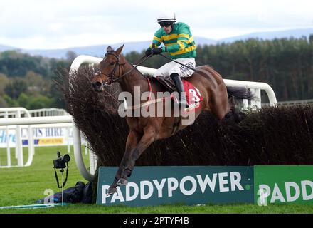 Imperméable et envahi par le jockey Brian Hayes sur le chemin de gagner le béton irlandais Hanlon EBF Glencarraig Lady Francis Flood Mares Chase le quatrième jour du Punchestown Festival à Punchestown Racecourse dans le comté de Kildare, en Irlande. Date de la photo: Vendredi 28 avril 2023. Banque D'Images