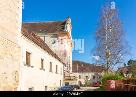 Mauerbach : Chartreuse Mauerbach, église chariteuse, arbre à fleurs à Wienerwald, Bois de Vienne, Niederösterreich, Basse-Autriche, Autriche Banque D'Images