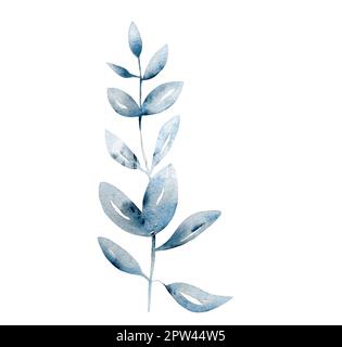Feuilles et branches aquarelles. Élément de conception pour motifs, lauriers et compositions pour mariage ou invitations en style floral. Véritable aquarelle Banque D'Images