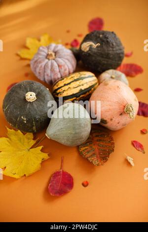 Vue de dessus de petits citrouilles mûres et de feuilles d'automne garrées disposés en cercle sur fond orange Banque D'Images