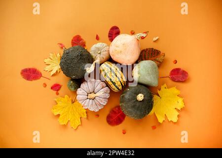 Vue de dessus de petits citrouilles mûres et de feuilles d'automne garrées disposés en cercle sur fond orange Banque D'Images