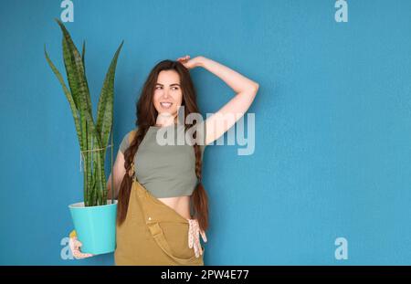 Jeune femme avec les cheveux tressés souriant et démontrant pot avec la maison sur fond bleu Banque D'Images