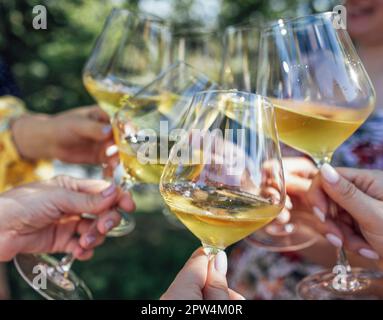 Faire un toast de fête avec du vin mousseux. Les mains des femmes tiennent des verres de champagne. Concept anniversaire, vacances, fête et amitié Banque D'Images