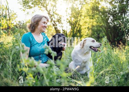 Femme âgée aux cheveux avec ses chiens dans le parc. Portrait d'une femme âgée souriante assise à l'extérieur avec ses labradors dorés et noirs sur l'herbe. Banque D'Images