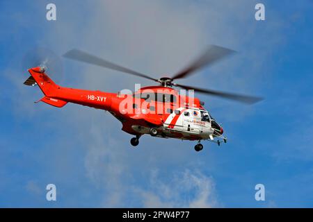 Hélicoptère de transport polyvalent AS 332 Super Cougar C1 HB-XVY de Heliswiss International AG dans les airs, Valais, Suisse Banque D'Images