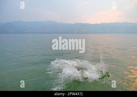 L'eau s'est éclaboussé sur la rivière ou le lac Banque D'Images