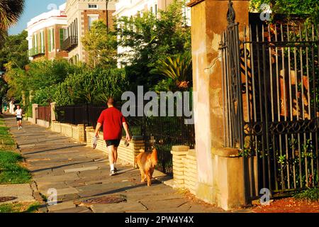 Un homme adulte marche le chien près des demeures et des propriétés d'East Battery Street, à Charleston, en Caroline du Sud Banque D'Images