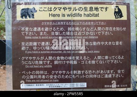 Parc national de Nikko, 18 novembre 2017 : signe d'avertissement de la présence d'animaux sauvages. Parc national de Nikko. Préfecture de Tochigi. Japon. Banque D'Images