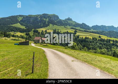 Paysage dans les Alpes d'Appenzell avec des pâturages verts et des prairies, vue sur le Mont Hoher Kasten, Bruelisau, Canton d'Appenzell Innerrhoden, Suisse Banque D'Images