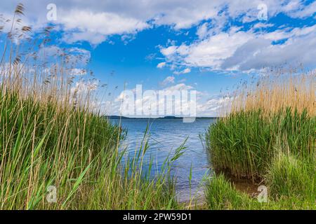 Vue sur le lac Berzdorfer Voir près de Goerlitz, Allemagne. Banque D'Images