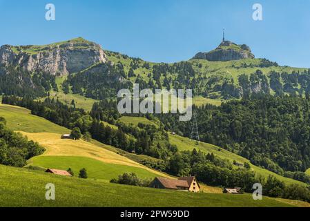 Paysage dans les Alpes d'Appenzell avec des pâturages verts et des prairies, vue sur le Mont Hoher Kasten, Bruelisau, Canton d'Appenzell Innerrhoden, Suisse Banque D'Images