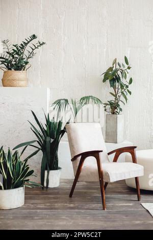 Intérieur moderne et lumineux avec mobilier confortable décoré de plantes en pot Banque D'Images