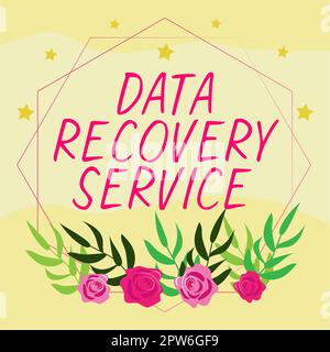 Affichage conceptuel Service de récupération de données, processus conceptuel de photo de récupération de données inaccessibles ou perdues Banque D'Images
