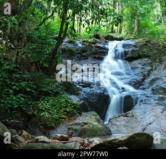 Cascade de Kathu, cachés dans la jungle dans la province de Phuket, Thailande. Banque D'Images