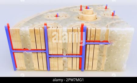 Tissu osseux gros plan à travers une coupe transversale d'un os - rendu -3D Banque D'Images