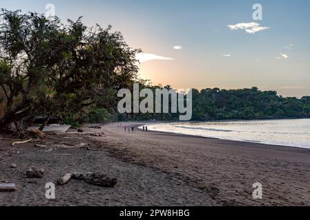 Touristes sur la plage dans la petite ville de Drake Bay, Puntarenas, Costa Rica Banque D'Images