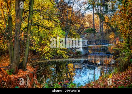 Parc Ujazdów (parc Ujazdowski) paysage d'automne avec étang et passerelle dans la ville de Varsovie, Pologne. Banque D'Images