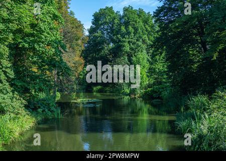 Magnifique paysage d'été de Sofiyivka Arboretum Park à Uman, Ukraine- étang, pelouses vertes et feuillage luxuriant. Banque D'Images