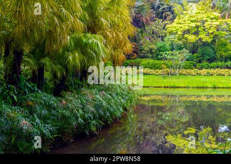 Jardins près de la baie apporte à la vie la vision de la création d'une ville de jardin. Les fleurs tropicales fleurissent dans les jardins de Marina. Singapour... Marina Bay Waterfront i Banque D'Images