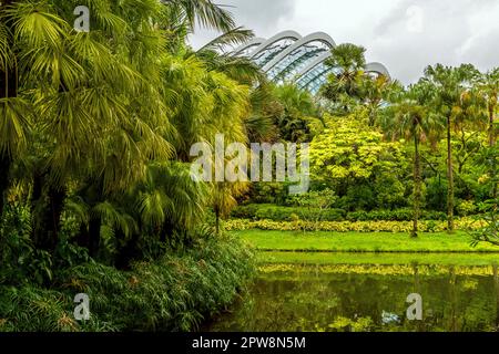 Jardins près de la baie apporte à la vie la vision de la création d'une ville de jardin. Les fleurs tropicales fleurissent dans les jardins de Marina. Singapour... Marina Bay Waterfront i Banque D'Images