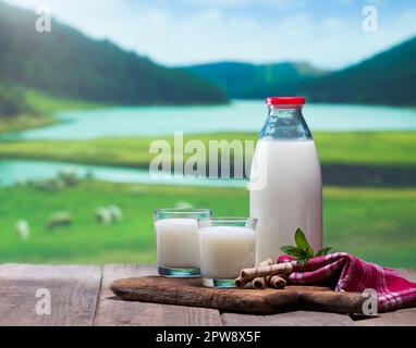 Lait de mouton biologique sur la table. Lait quotidien dans le biberon et les verres pleins. Un troupeau de moutons se propageant à travers la prairie en arrière-plan. Banque D'Images