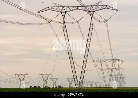 Pylônes d'électricité, tours de transmission, tours hydro traversant les terres agricoles en Afrique du Sud concept ESKOM crise énergétique Banque D'Images