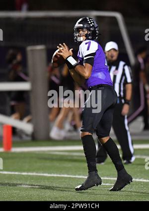 Rancho Cucamonga, CA. 8th novembre 2019. Top Quarterback Prospect CJ Stroud #7 de Rancho Cucamonga en action contre Murrieta Valley.CIF-SS Prep football DIV 2 Playoff Varsity Murrieta Valley contre Rancho Cucamonga.Louis Lopez/Modern exposition. Crédit : csm/Alay Live News Banque D'Images