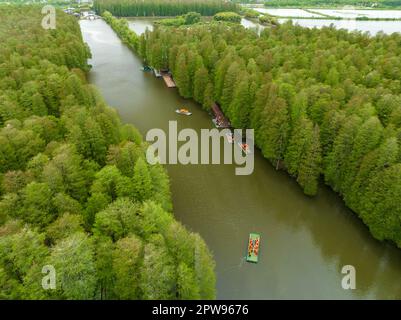 TAIZHOU, CHINE - 29 AVRIL 2023 - les touristes aériens montent un radeau de bambou pour jouer dans la forêt aquatique de Lizhong du parc national des zones humides de Xiahe à Taizhou, Banque D'Images