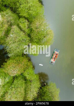 TAIZHOU, CHINE - 29 AVRIL 2023 - les touristes aériens montent un radeau de bambou pour jouer dans la forêt aquatique de Lizhong du parc national des zones humides de Xiahe à Taizhou, Banque D'Images