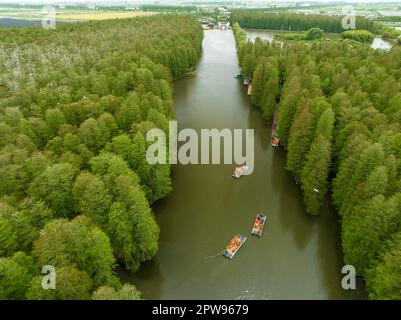 TAIZHOU, CHINE - 29 AVRIL 2023 - les touristes aériens montent un radeau de bambou pour jouer dans la forêt aquatique de Lizhong du parc national des zones humides de Xiahe à Taizhou, Banque D'Images