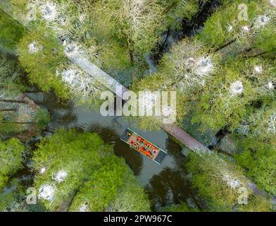 TAIZHOU, CHINE - 29 AVRIL 2023 - les touristes aériens montent un radeau de bambou pour jouer dans la forêt aquatique de Lizhong du parc national des zones humides de Xiahe à Taizhou, Banque D'Images