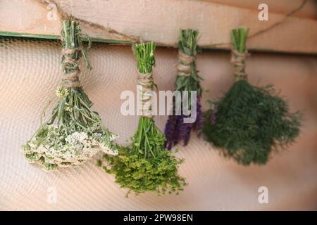 Des lapins de différentes belles fleurs séchées accrochées sur la corde près du mur beige Banque D'Images