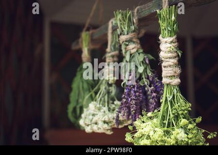 Des lapins de différentes belles fleurs séchées accrochées sur bâton de bois à l'intérieur Banque D'Images