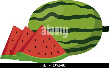 Pastèque détaillée avec les tranches Illustration Illustration de Vecteur