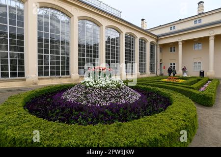 Kromeriz, République tchèque. 29th avril 2023. Lit ornemental à la Cour d'honneur, 29 avril 2023, jardin des fleurs, Kromeriz. Le jardin est un site classé au patrimoine mondial de l'UNESCO. Crédit: Dalibor Gluck/CTK photo/Alamy Live News Banque D'Images