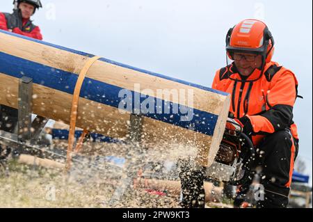 Eisleben, Allemagne. 29th avril 2023. Gotthard Schwender de Bavière à la coupe combinée. Au Championnat Mansfeld Woodcoutting 12th à Eisleben (quartier Mansfeld-Südharz), de vrais champions ont participé samedi. Au total, les participants se disputent dans cinq disciplines. Credit: Heiko Rebsch/dpa/ZB/dpa/Alay Live News Banque D'Images