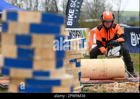 Eisleben, Allemagne. 29th avril 2023. Julian Schwender de Bavière dans la compétition de coupe de précision. Au Championnat Mansfeld Woodcoutting 12th à Eisleben (district de Mansfeld-Südharz), de vrais champions ont pris la ligne de départ samedi. Au total, les participants se disputent dans cinq disciplines. Credit: Heiko Rebsch/dpa/Alay Live News Banque D'Images