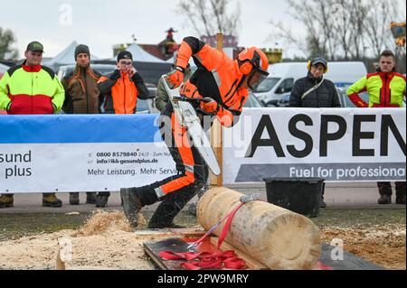 Eisleben, Allemagne. 29th avril 2023. Marco Trabert de Bavière dans la compétition de coupe de précision. Aux Championnats Mansfeld Lumberjack 12th, 50 participants de toute l'Allemagne concourent dans un large éventail de disciplines. Credit: Heiko Rebsch/dpa/Alay Live News Banque D'Images