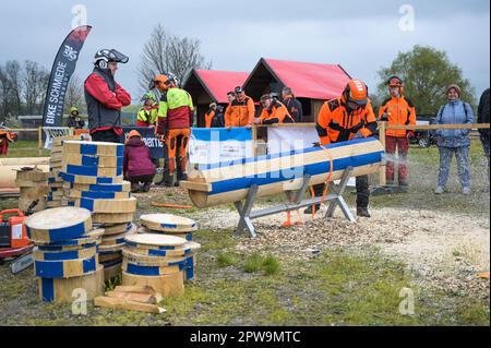 Eisleben, Allemagne. 29th avril 2023. Julian Schwender, de Bavière, dans le concours de combinaison de coupe. Aux Championnats Mansfeld Lumberjack 12th, 50 participants de toute l'Allemagne concourent dans un large éventail de disciplines. Credit: Heiko Rebsch/dpa/Alay Live News Banque D'Images