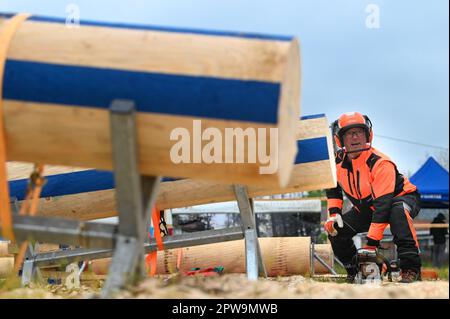 Eisleben, Allemagne. 29th avril 2023. Gotthard Schwender de Bavière au début de la coupe combinée. Aux Championnats Mansfeld Lumberjack 12th, 50 participants de toute l'Allemagne concourent dans un large éventail de disciplines. Credit: Heiko Rebsch/dpa/Alay Live News Banque D'Images