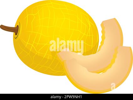 Illustration Melon détaillé avec coupes Illustration de Vecteur