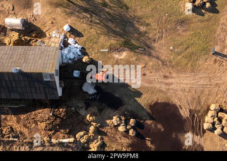 Photographie par drone d'un tracteur portant des balles de foin dans le hangar avec des animaux de ferme au cours de la matinée du printemps. Banque D'Images