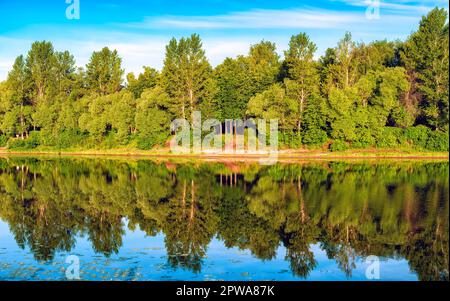 Paysage d'un réservoir avec réflexion dans l'eau d'une forêt sur la rive Banque D'Images