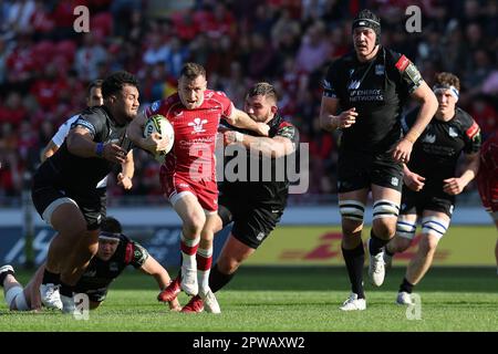 Llanelli, Royaume-Uni. 29th avril 2023. Gareth Davies des Scarlets fait une pause. Coupe européenne de rugby à XV, demi-finale, Scarlets v Glasgow Warriors au Parc y Scarlets à Llanelli, pays de Galles, le samedi 29th avril 2023. photo par Andrew Orchard/Andrew Orchard sports photographie/Alamy Live News crédit: Andrew Orchard sports photographie/Alamy Live News Banque D'Images