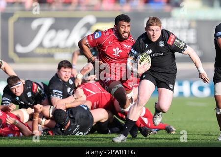 Llanelli, Royaume-Uni. 29th avril 2023. Johnny Matthews de Glasgow Warriors fait une pause. Coupe européenne de rugby à XV, demi-finale, Scarlets v Glasgow Warriors au Parc y Scarlets à Llanelli, pays de Galles, le samedi 29th avril 2023. photo par Andrew Orchard/Andrew Orchard sports photographie/Alamy Live News crédit: Andrew Orchard sports photographie/Alamy Live News Banque D'Images