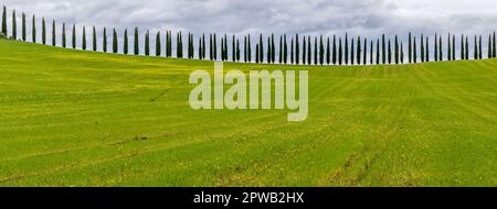 Vue panoramique sur un paysage toscan typique avec une route dans la campagne bordée de deux rangées de cyprès au printemps Banque D'Images